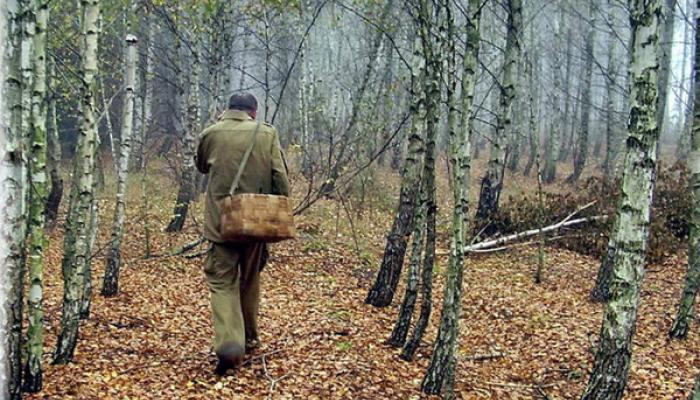 заблудился в лесу