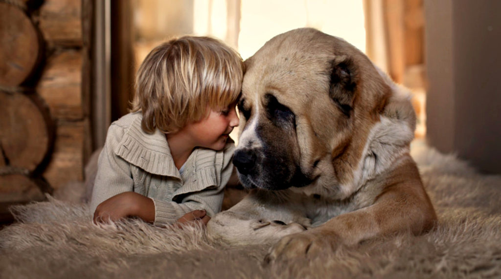 ребенок с большим псом животное