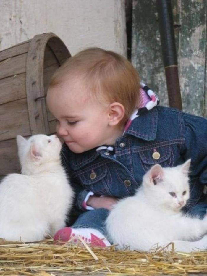 ребенок с котятами