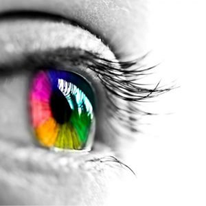 Суперцветовое зрение