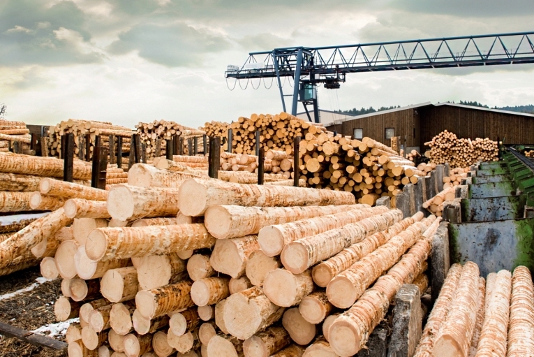 лесная отрасль Кировская область