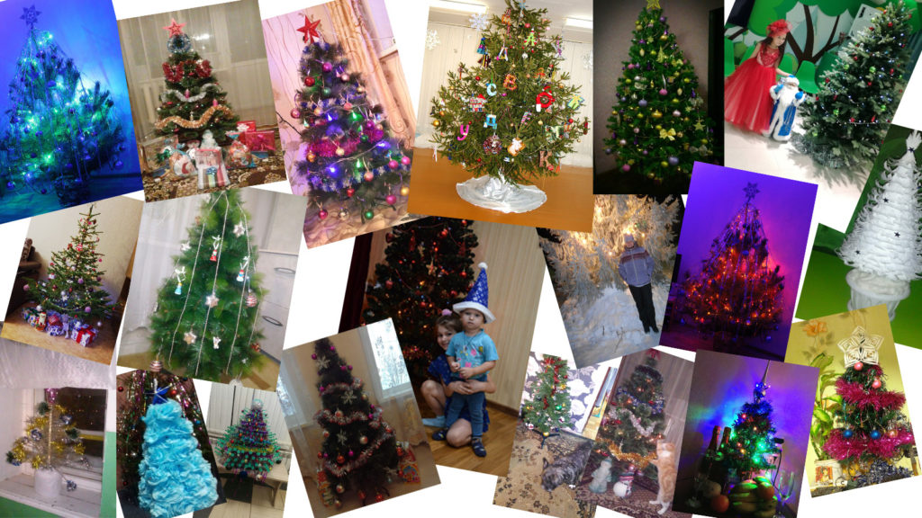 много новогодних елок