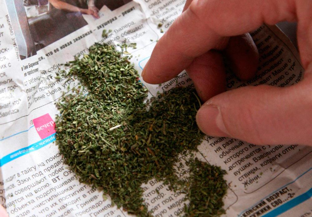 смола каннабиса