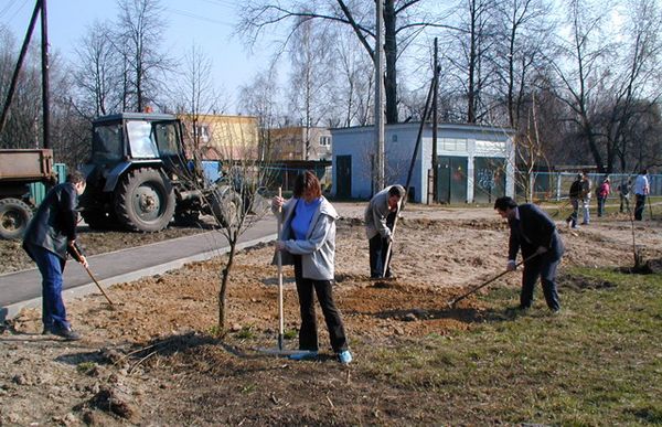 уборка территории весной