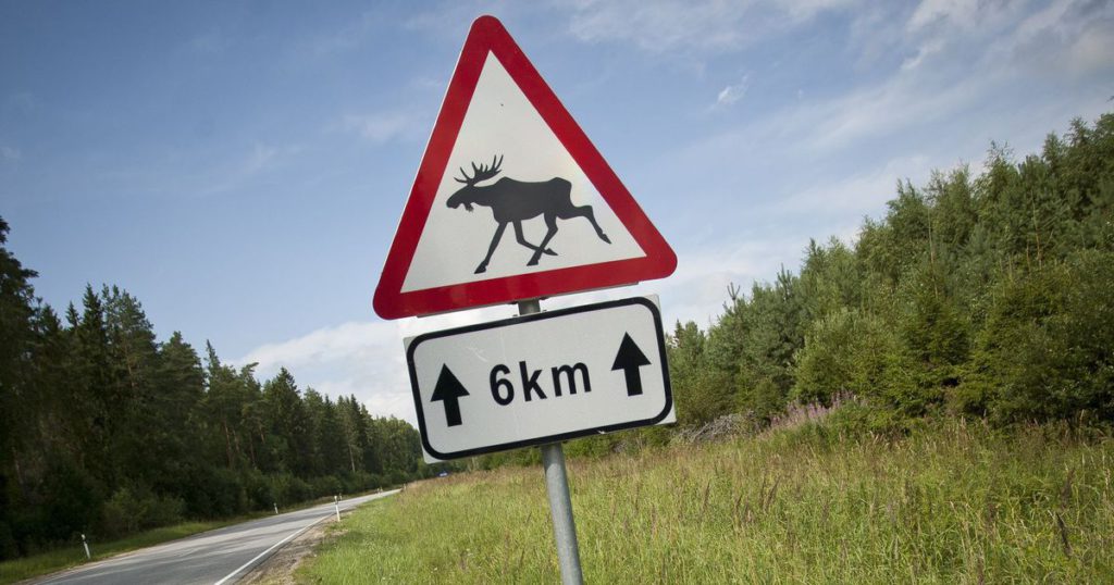 знак лось на дороге