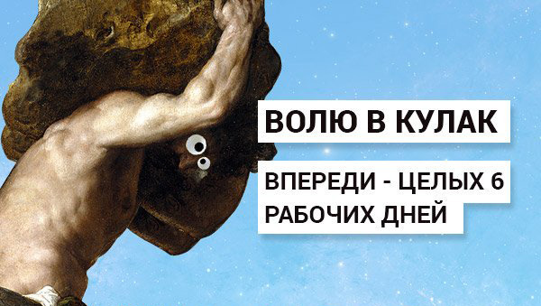 6 рабочих дней