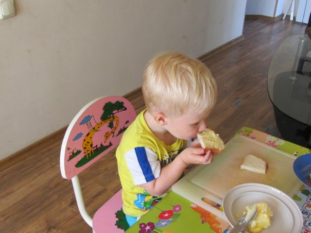 фальсификат в области