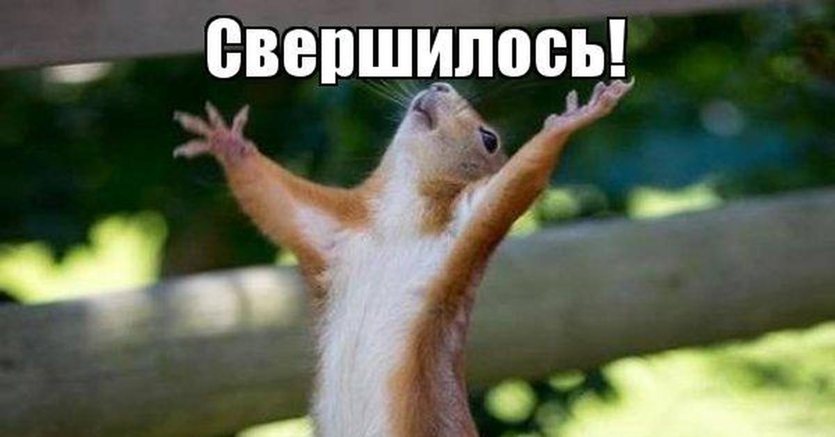 свершилось выходной