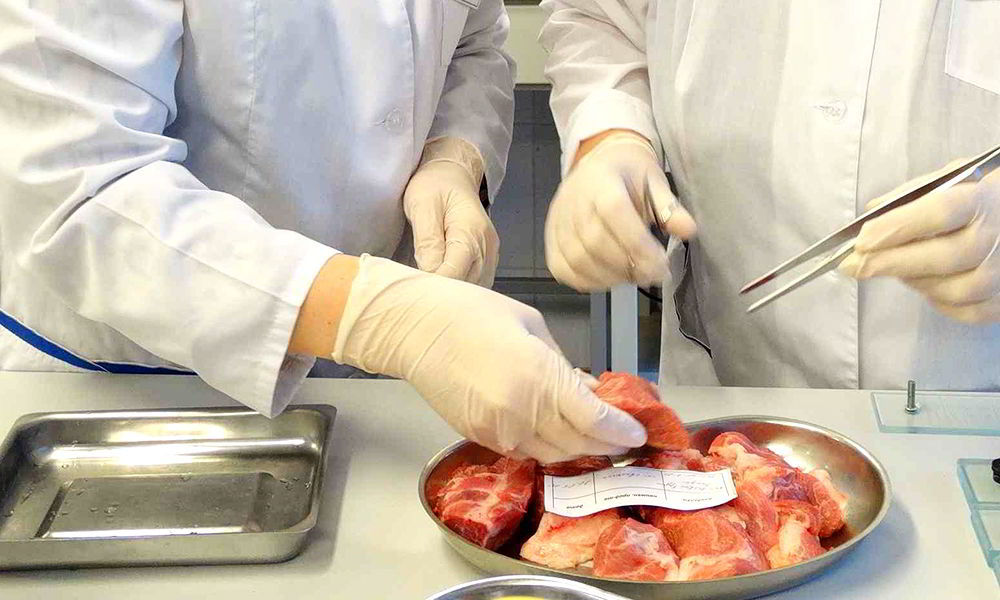 На мясоперерабатывающем предприятии в Уржумском р-не выявлены нарушения