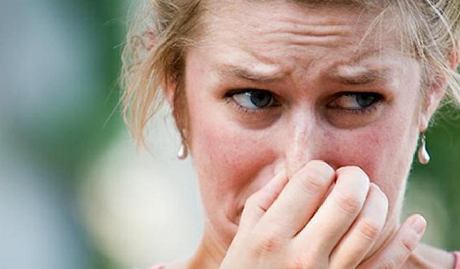 в мире запахов