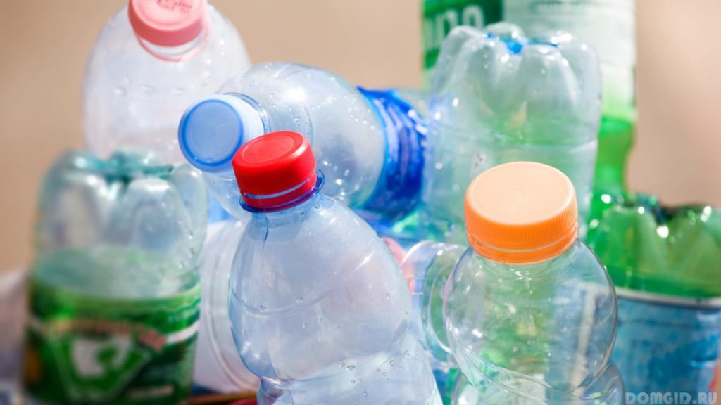 Как пластиковые бутылки влияют на способность к размножению