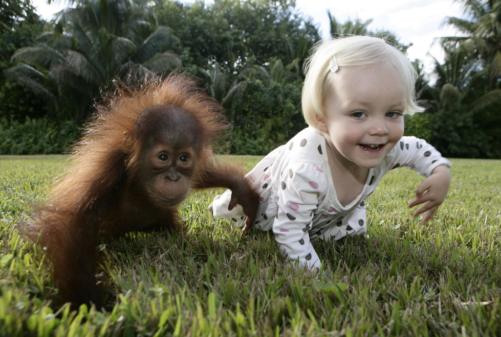 Маленькие дети используют те же жесты, что и приматы