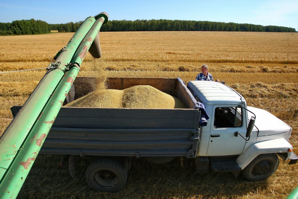 Отчет об уборке урожая в Кировской области