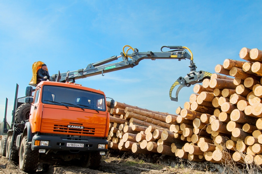 132 многодетные семьи в нашей области получили льготный лес