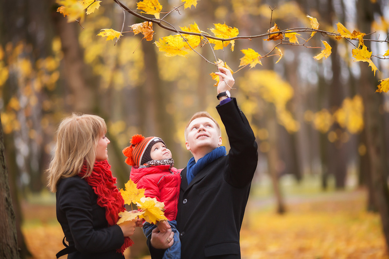В России может появиться еще один выходной