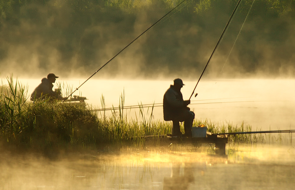 Как изменились сроки запрета на вылов рыбы в Кировской области