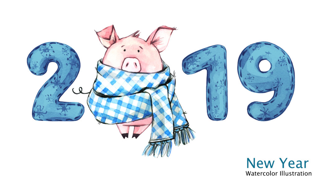 как встречать новый 2019 год свиньи
