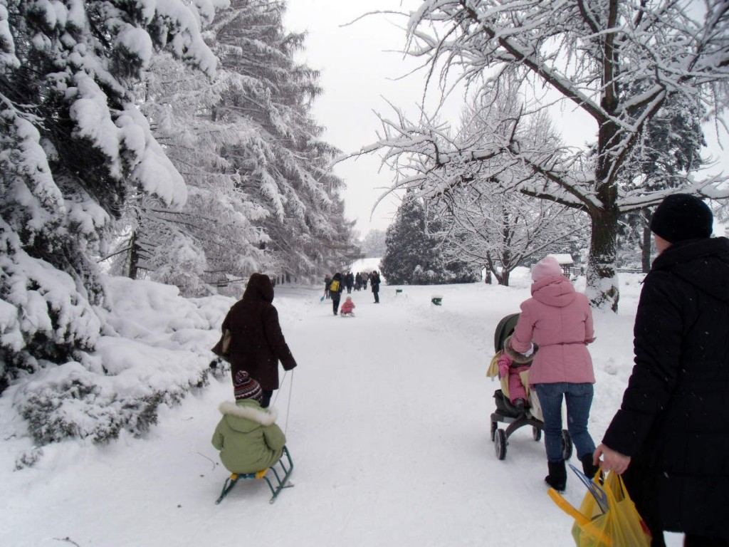 Кировская область представлена в рейтинге основных событий социально-политической жизни за декабрь