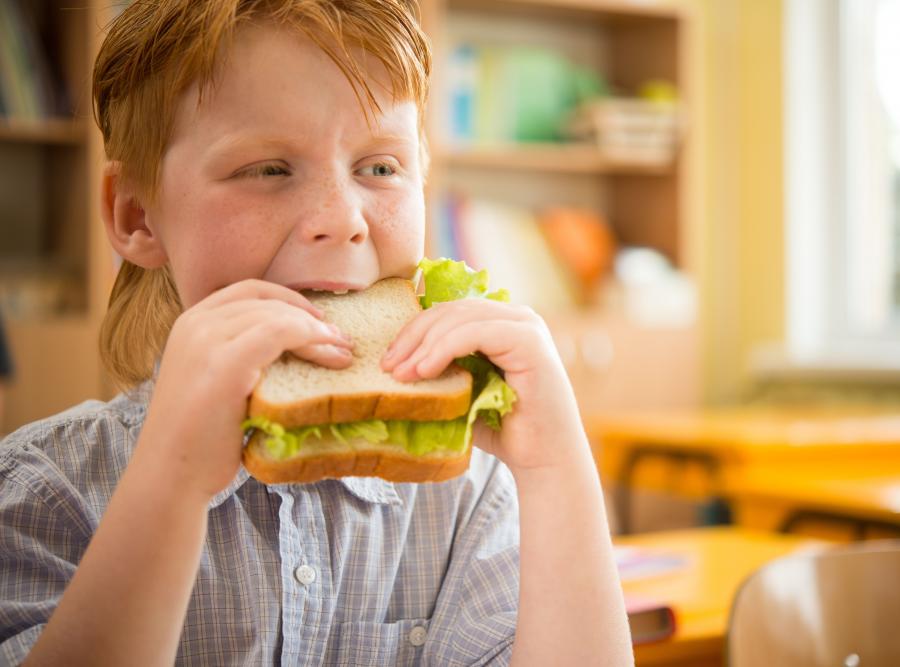 Роспотребнадзор запретит приносить в школу еду из дома