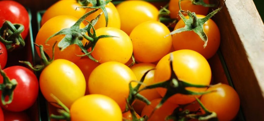 Желтые помидоры: Лучшие сорта этих томатов