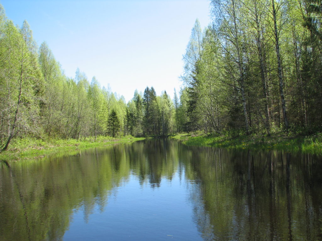 Национальный парк «Вятка» создадут в Кировской области