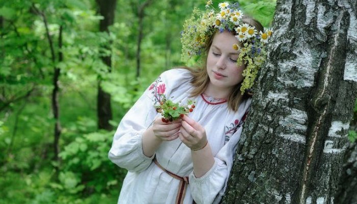 Красавицу-березку древние славяне считали одним из воплощений богини-матери Берегини