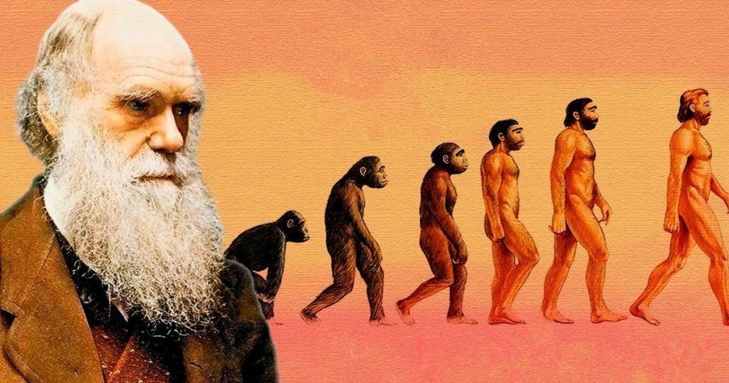 Как биологи доказали теорию Чарльза Дарвина