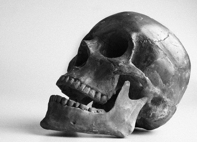 у древних людей были на редкость здоровые зубы