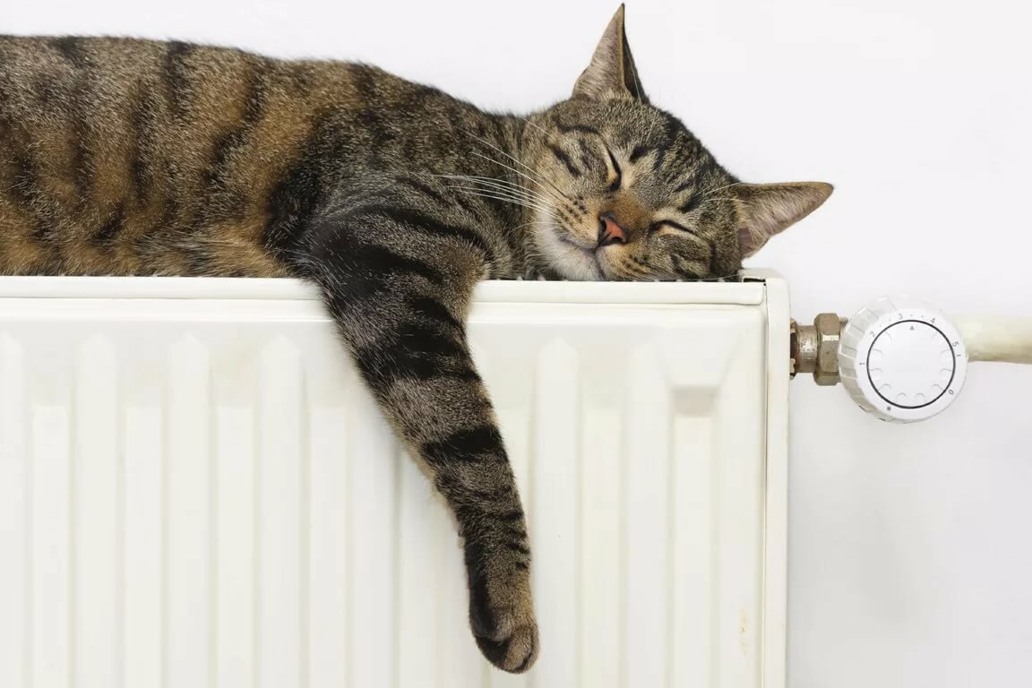 Как повысить теплоотдачу отопительных радиаторов