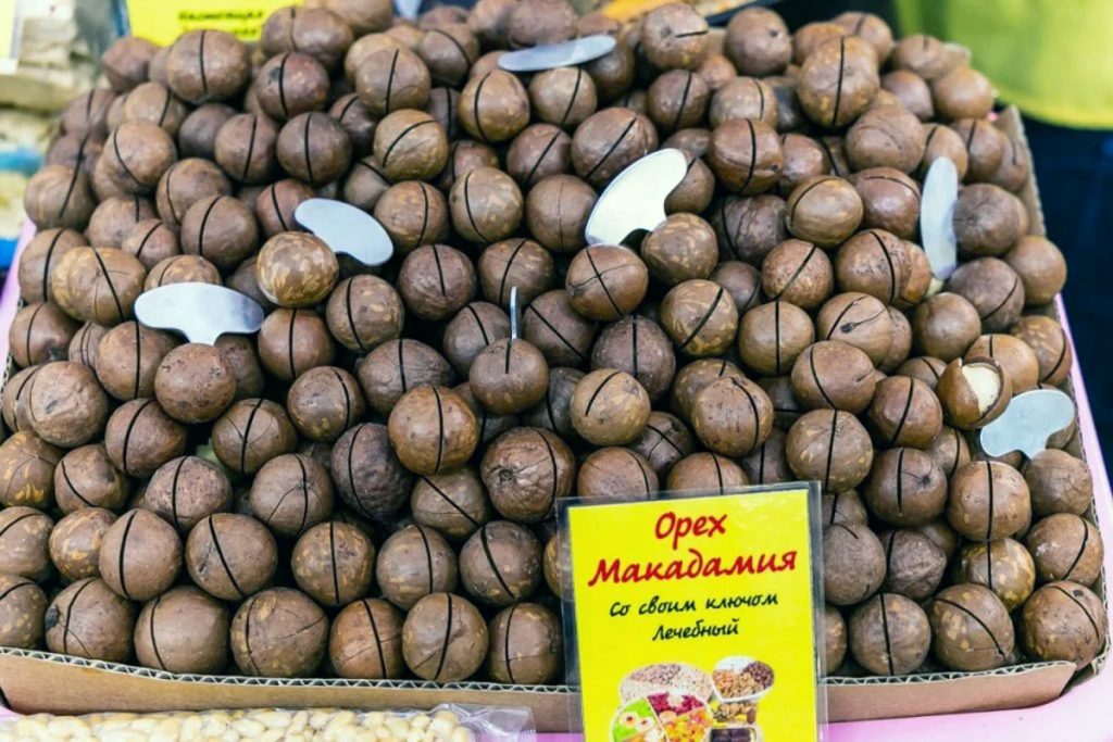 макадамия