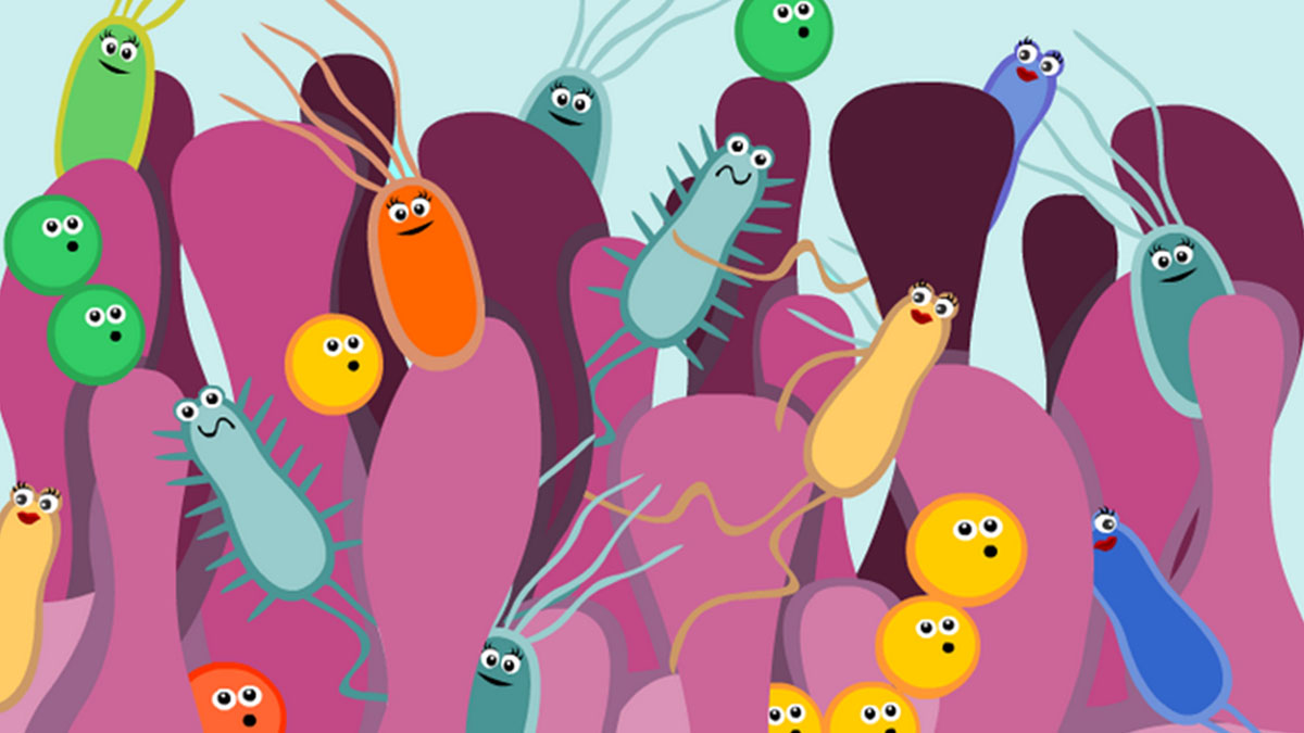 Как кишечные бактерии управляют нашими желаниями