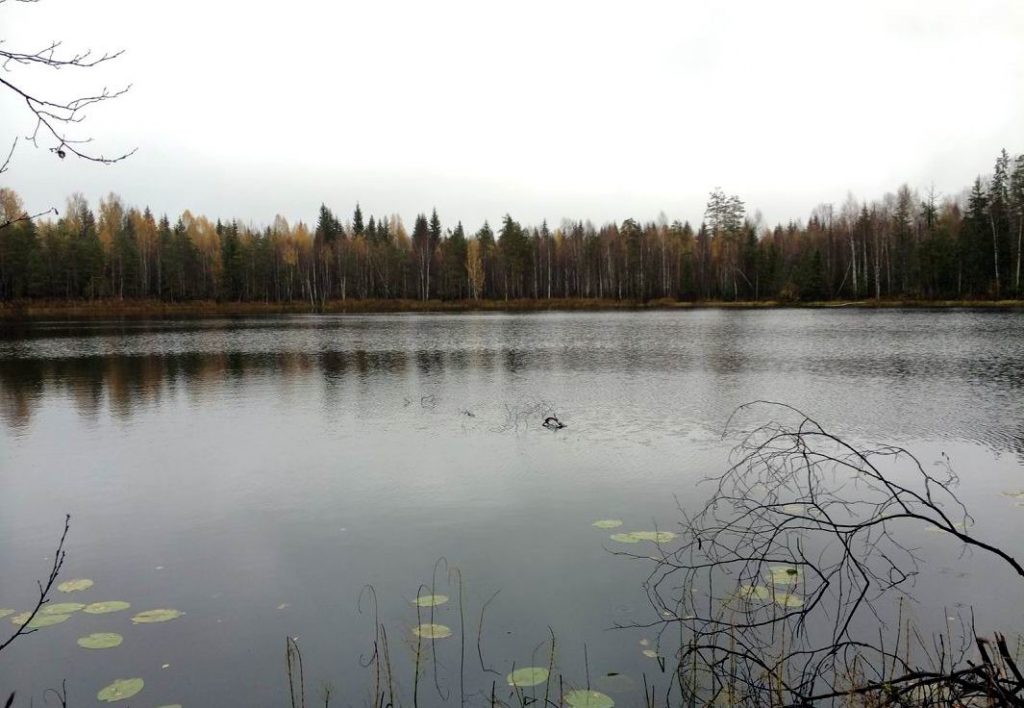Про загадочное Итанское озеро в Кировской области