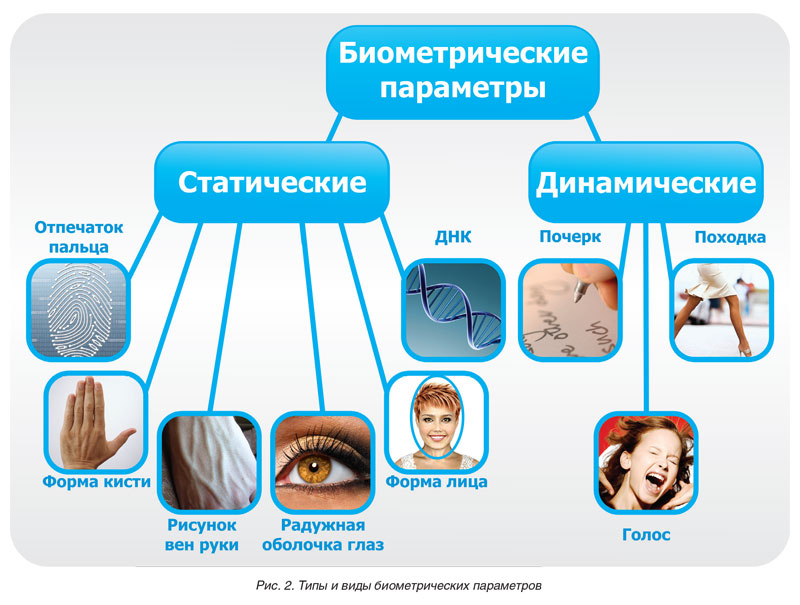 Биометрические системы защиты презентации