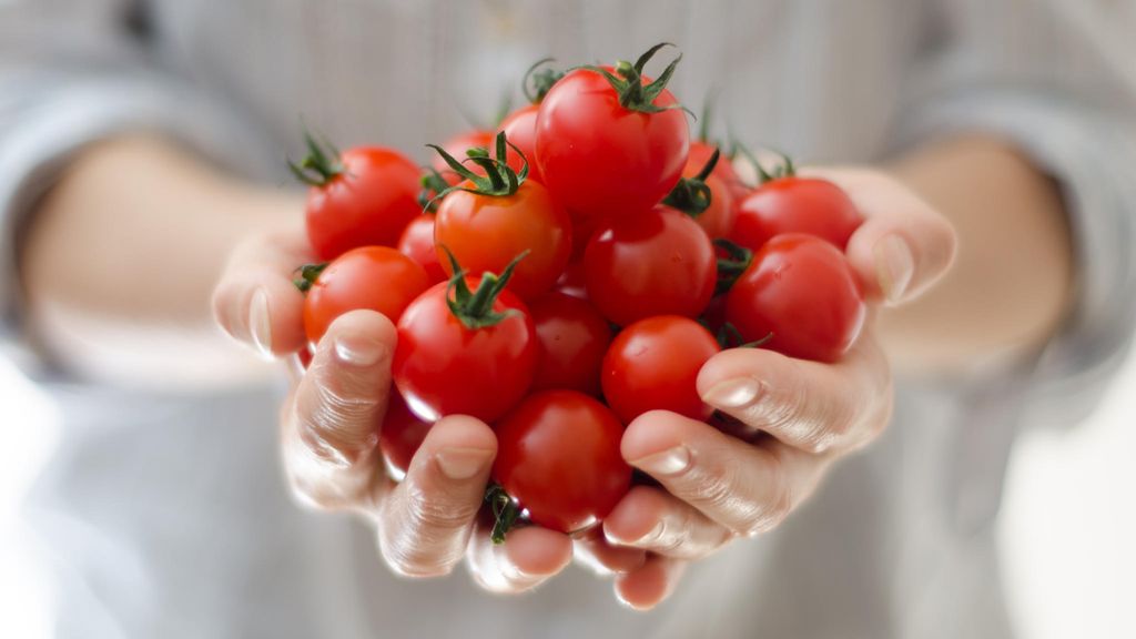 Почему томаты называют помидорами