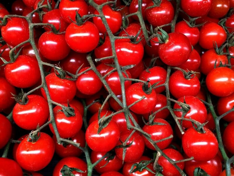 Плюсы и минусы сорта томатов "Вишня красная"