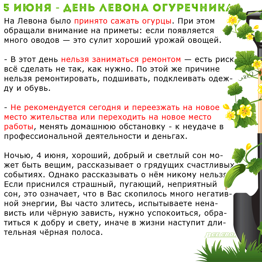 5 июня