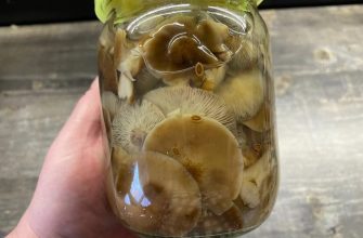 Самый простой и вкусный маринад для грибов