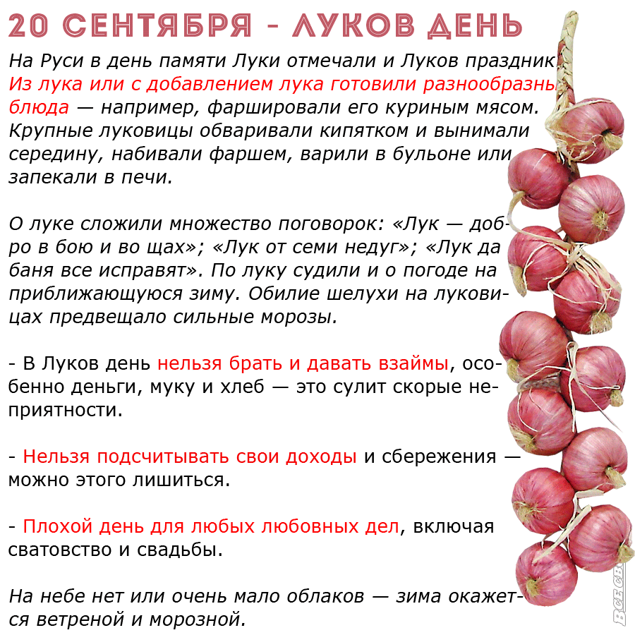 20 сентября луков день. Луков день что это. Луков день праздник. 31 октября праздник луков день. Луков день что это.