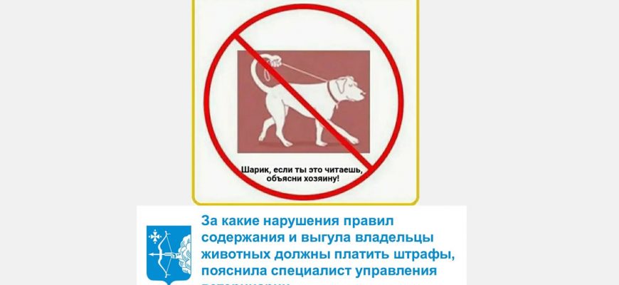 Самовыгул: Про штрафы за нарушения требований к содержанию животных