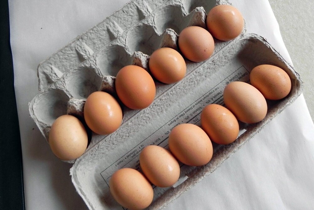 Как отличить искусственное яйцо от натурального