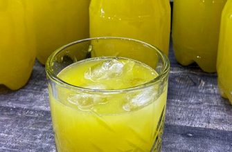 Как из 3-х апельсинов сделать целых 5 литров вкуснейшего напитка: Рецепт