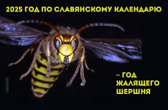 2025 год по славянскому календарю – год Жалящего Шершня