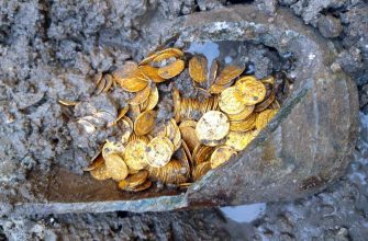 Что делать в случае обнаружения клада на своём участке