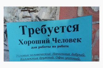 Рейтинг самых необычных и редких вакансий в Кировской области