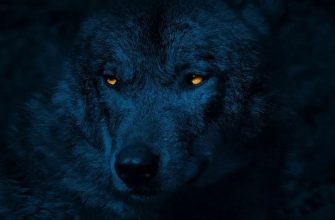 По славянскому календарю 2026-й - год Люта: Что это за зверь и чего от него ждать