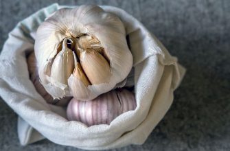 Выдержанный чеснок обладает уникальными свойствами