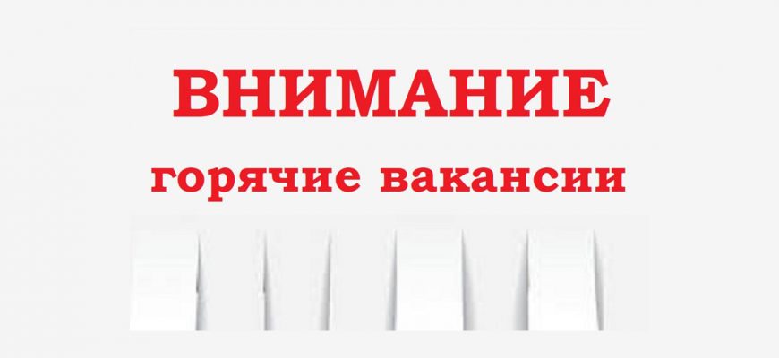 Швея, водитель... Роструд назвал 5 самых востребованных специальностей