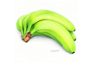 Не менее 14 см: Про ГОСТ на бананы, который появился впервые