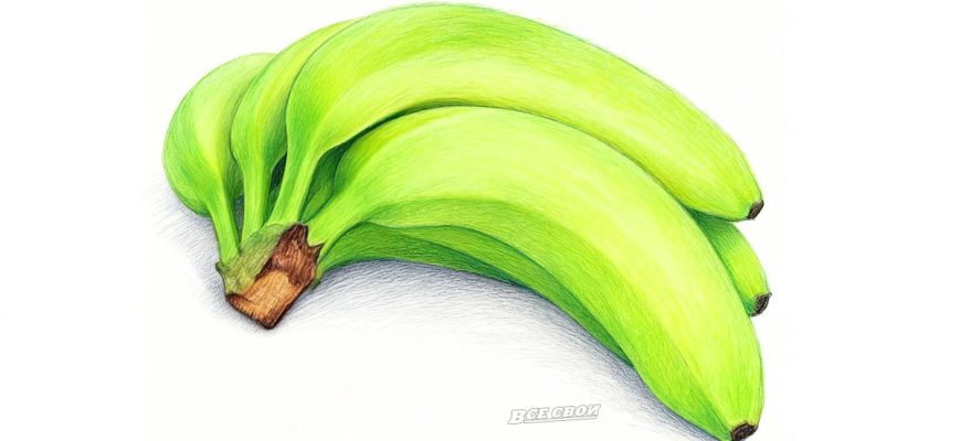 Не менее 14 см: Про ГОСТ на бананы, который появился впервые