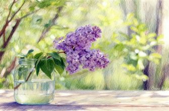 О штрафах за сорванную сирень